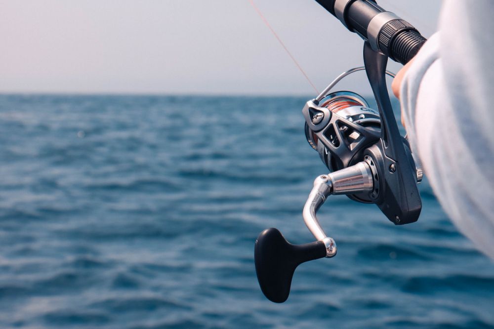 Fishing trip norway  havfiske, natur og ekte kystliv